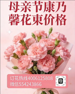四平铁东区花店母亲节康乃馨花束